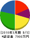 日本海重機建設 貸借対照表 2010年3月期