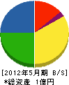 渡辺産業 貸借対照表 2012年5月期