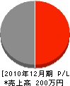 矢野電機商会 損益計算書 2010年12月期