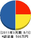 渡辺建築 貸借対照表 2011年3月期