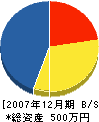 片山組 貸借対照表 2007年12月期