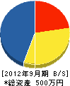 東信企画 貸借対照表 2012年9月期