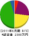 新井鑿泉 貸借対照表 2011年6月期