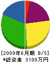 金井電気 貸借対照表 2009年6月期