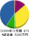 小沢建具工業 貸借対照表 2009年12月期