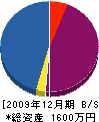 末広庭園創作所 貸借対照表 2009年12月期
