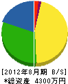 和歌山弱電設備 貸借対照表 2012年8月期
