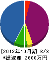 疋田電工 貸借対照表 2012年10月期