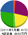 百瀬電工 貸借対照表 2011年5月期