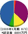 桃李園 貸借対照表 2009年8月期