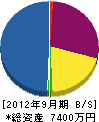 隠岐電工 貸借対照表 2012年9月期
