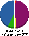 長谷川組 貸借対照表 2009年9月期