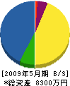 長岡建設 貸借対照表 2009年5月期