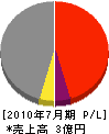 岡崎電気 損益計算書 2010年7月期
