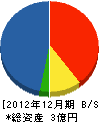 宮崎電気工事 貸借対照表 2012年12月期