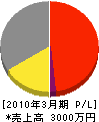 橋本組 損益計算書 2010年3月期