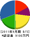 三栄ポンプ工業 貸借対照表 2011年9月期