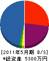 福武美電設 貸借対照表 2011年5月期