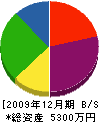 山崎建設 貸借対照表 2009年12月期