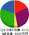 東工業 貸借対照表 2010年6月期