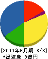 多賀土木 貸借対照表 2011年6月期