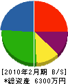 ワタベ工芸 貸借対照表 2010年2月期