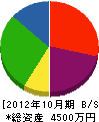 田能商会 貸借対照表 2012年10月期