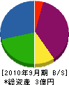 中島建設 貸借対照表 2010年9月期
