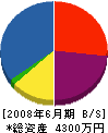 大宏アルミ 貸借対照表 2008年6月期