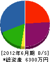 寿功建設 貸借対照表 2012年6月期