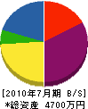 ヤマコプラン 貸借対照表 2010年7月期