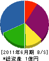 佐野住設 貸借対照表 2011年6月期
