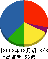 川崎技研 貸借対照表 2009年12月期