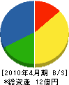 シンオシマ 貸借対照表 2010年4月期