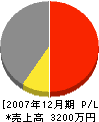 日本サンアンドグリーン 損益計算書 2007年12月期