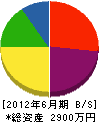ペイブメント東日本 貸借対照表 2012年6月期