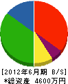 坂本土木 貸借対照表 2012年6月期