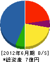 吉澤建設 貸借対照表 2012年6月期