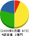 大誠電機 貸借対照表 2009年6月期