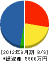 羽山建設 貸借対照表 2012年6月期