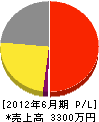 札幌ダイトーテクノ 損益計算書 2012年6月期