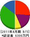 中須賀工業 貸借対照表 2011年4月期