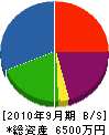 藤田電工 貸借対照表 2010年9月期