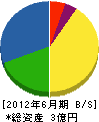 ヨシキ 貸借対照表 2012年6月期