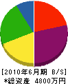 昭和技建工業 貸借対照表 2010年6月期