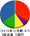 斉藤重一建築 貸借対照表 2010年12月期