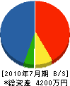 藤沼電気商会 貸借対照表 2010年7月期