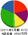 山川組 貸借対照表 2011年6月期