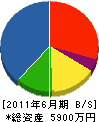 大眞建設 貸借対照表 2011年6月期