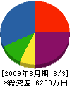 武富ガラス 貸借対照表 2009年6月期